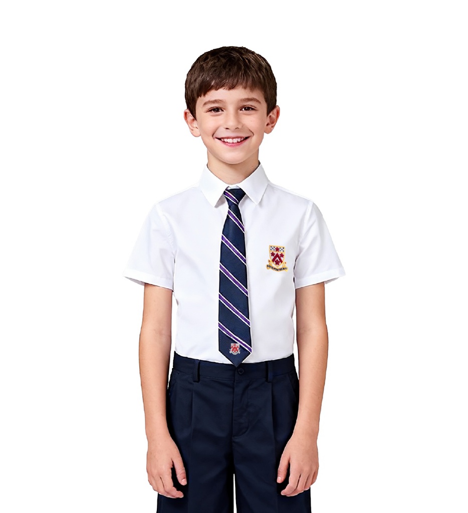 Thin Short-Sleeved Shirt